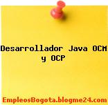 Desarrollador Java OCM y OCP