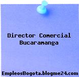 Director Comercial Bucaramanga