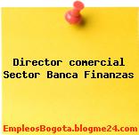 Director comercial Sector Banca Finanzas