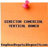DIRECTOR COMERCIAL VERTICAL BANCA