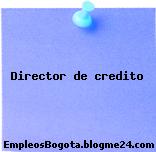 Director de credito