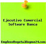 Ejecutivo Comercial Software Banca