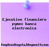 Ejecutivo financiero pymes banca electronica