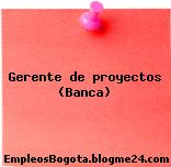 Gerente de proyectos (Banca)