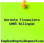 Gerente Financiero 100% Bilingüe