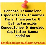 Gerente Financiero Especialista Finanzas Para Transporte O Estructuración Concesiones O Mercado Capitales Banca Modelos
