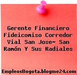 Gerente Financiero Fideicomiso Corredor Vial San Jose- San Ramón Y Sus Radiales