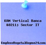 KAM Vertical Banca &8211; Sector IT