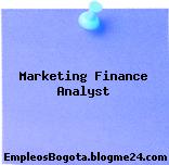 Marketing Finance Analyst