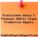 Practicante Banca Y Finanzas &8211; Etapa Productiva Bogota