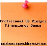 Profesional De Riesgos Financieros Banca