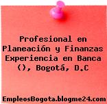 Profesional en Planeación y Finanzas Experiencia en Banca (), Bogotá, D.C