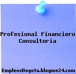 Profesional Financiero Consultoria