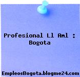 Profesional Ll Aml : Bogota
