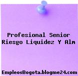 Profesional Senior Riesgo Liquidez Y Alm