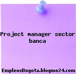 Project manager sector banca