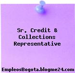 Sr. Credit & Collections Representative