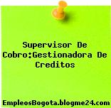 Supervisor De Cobro:Gestionadora De Creditos
