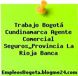 Trabajo Bogotá Cundinamarca Agente Comercial Seguros_Provincia La Rioja Banca