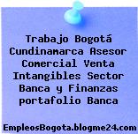 Trabajo Bogotá Cundinamarca Asesor Comercial Venta Intangibles Sector Banca y Finanzas portafolio Banca