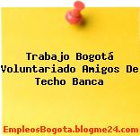 Trabajo Bogotá Voluntariado Amigos De Techo Banca