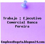 Trabajo : Ejecutivo Comercial Banca Pereira