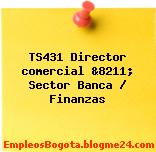 TS431 Director comercial &8211; Sector Banca / Finanzas