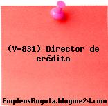 (V-831) Director de crédito