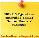 YBP-113 Ejecutivo comercial &8211; Sector Banca / Finanzas