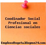 Coodinador Social Profesional en Ciencias sociales