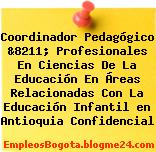 Coordinador Pedagógico &8211; Profesionales En Ciencias De La Educación En Áreas Relacionadas Con La Educación Infantil en Antioquia Confidencial