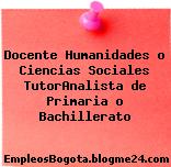 Docente Humanidades o Ciencias Sociales TutorAnalista de Primaria o Bachillerato