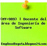 (MY-989) | Docente del área de Ingeniería de Software