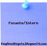 Pasante/Intern