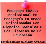 Pedagogo &8211; Profesional En Pedagogía En Áreas Relacionadas Con Ciencias Sociales O Las Ciencias De La Educación