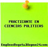 PRACTICANTE EN CIENCIAS POLITICAS