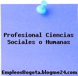Profesional Ciencias Sociales o Humanas