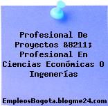 Profesional De Proyectos &8211; Profesional En Ciencias Económicas O Ingenerías
