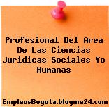 Profesional Del Area De Las Ciencias Juridicas Sociales Yo Humanas