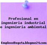 Profesional en ingenieria industrial o ingenieria ambiental