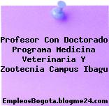 Profesor Con Doctorado Programa Medicina Veterinaria Y Zootecnia Campus Ibagu