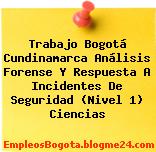 Trabajo Bogotá Cundinamarca Análisis Forense Y Respuesta A Incidentes De Seguridad (Nivel 1) Ciencias
