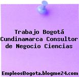 Trabajo Bogotá Cundinamarca Consultor de Negocio Ciencias