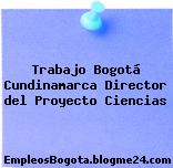 Trabajo Bogotá Cundinamarca Director del Proyecto Ciencias