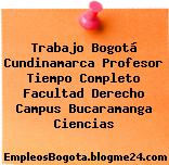 Trabajo Bogotá Cundinamarca Profesor Tiempo Completo Facultad Derecho Campus Bucaramanga Ciencias