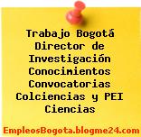 Trabajo Bogotá Director de Investigación Conocimientos Convocatorias Colciencias y PEI Ciencias