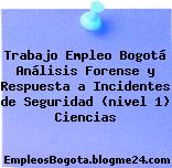 Trabajo Empleo Bogotá Análisis Forense y Respuesta a Incidentes de Seguridad (nivel 1) Ciencias