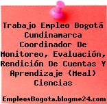 Trabajo Empleo Bogotá Cundinamarca Coordinador de monitoreo, evaluación, rendición de cuentas y aprendizaje (meal) Ciencias
