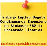 Trabajo Empleo Bogotá Cundinamarca Ingeniero de Sistemas &8211; Doctorado Ciencias