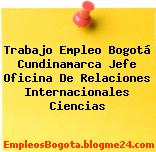 Trabajo Empleo Bogotá Cundinamarca Jefe Oficina De Relaciones Internacionales Ciencias